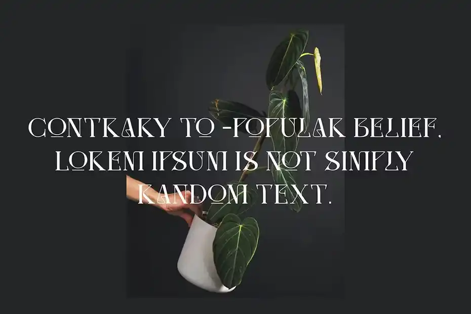 فونت انگلیسی مدرن Molten | Modern Serif - 13