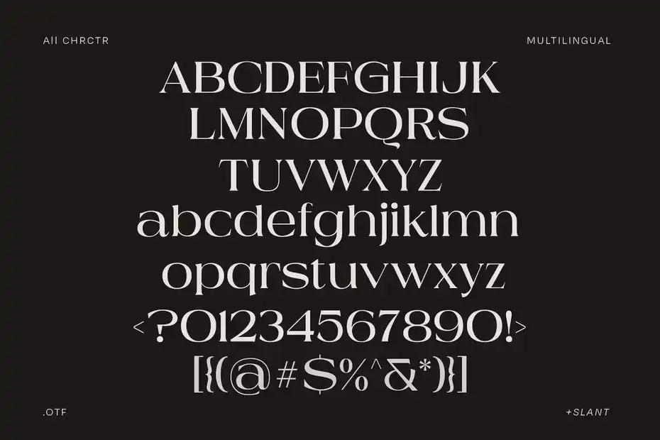 فونت انگلیسی ساده Munale Loird Display Font - 13