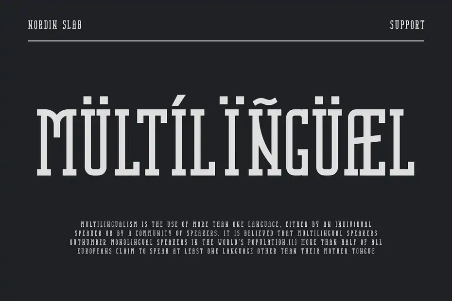 فونت انگلیسی مدرن Nordin Slab - Condensed Slab Serif - 23