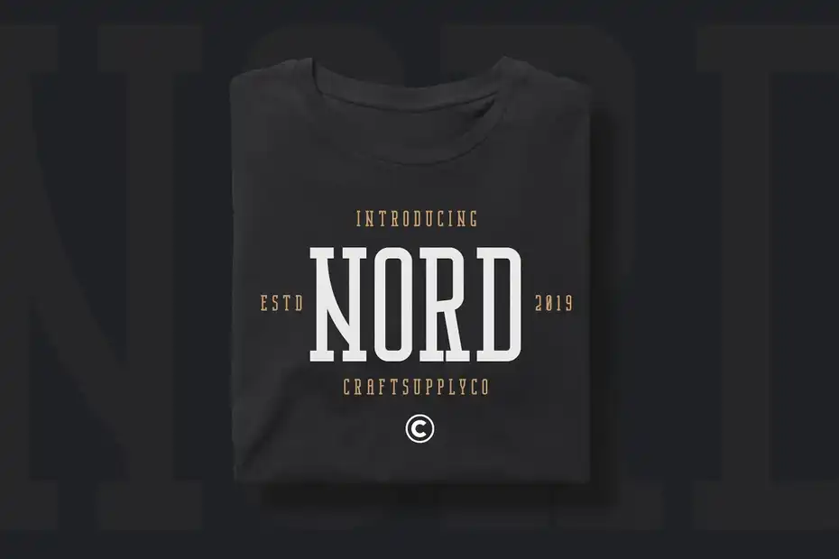 فونت انگلیسی مدرن Nordin Slab - Condensed Slab Serif - 13