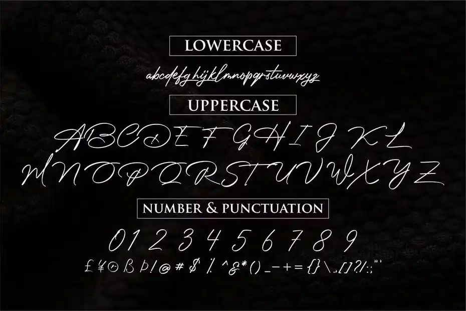 فونت انگلیسی به سبک امضا Photograph Signature - 3