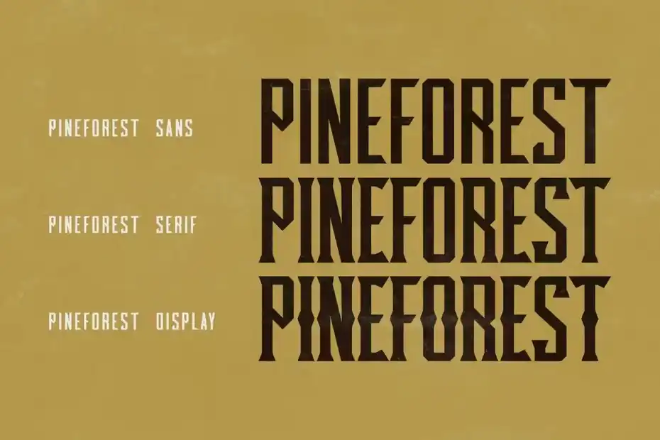 فونت انگلیسی کلاسیک Pineforest - Classic Condensed Font - 9