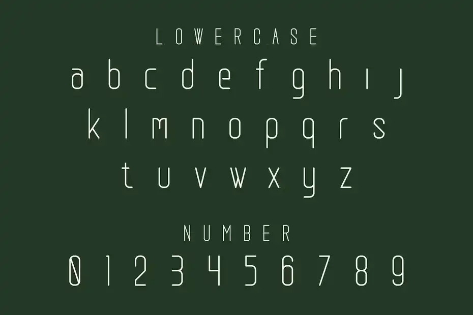 فونت انگلیسی مدرن Rameena font - 3