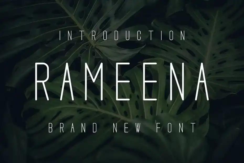 فونت انگلیسی مدرن Rameena font - 5