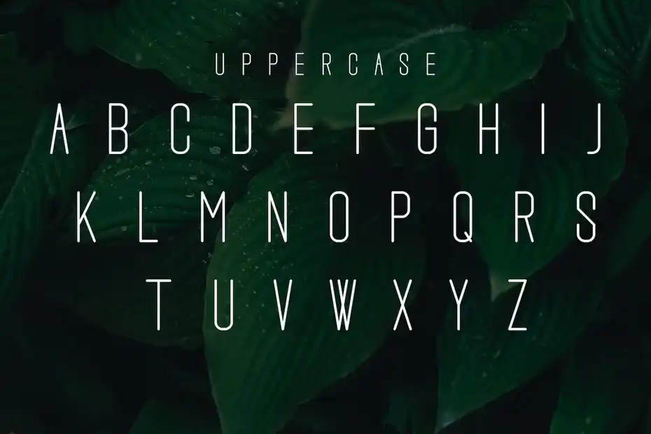 فونت انگلیسی مدرن Rameena font - 7