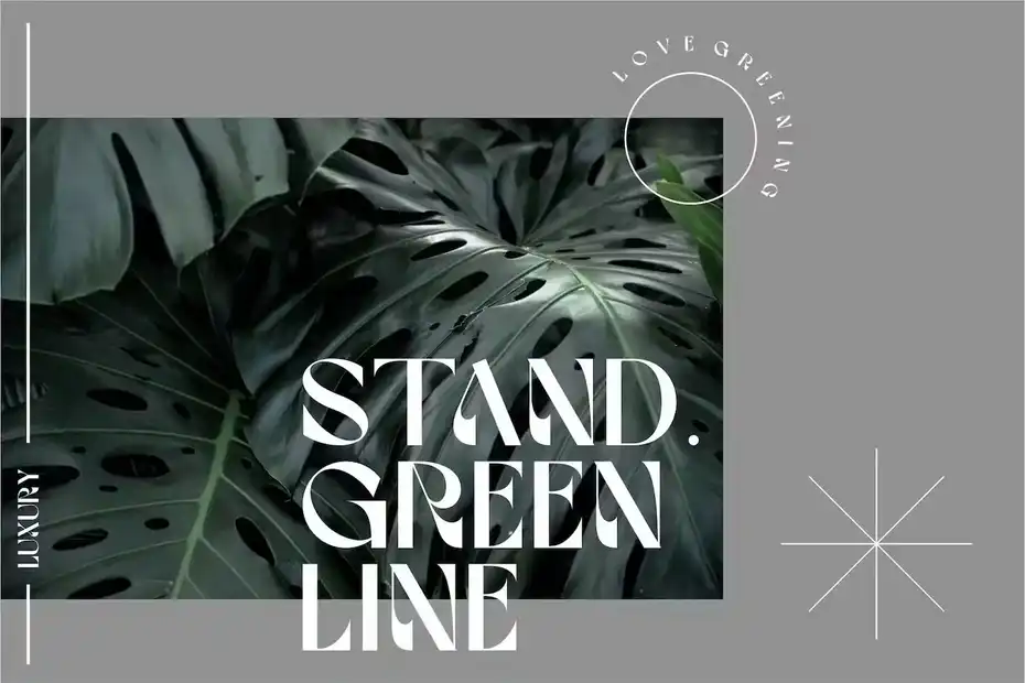 فونت انگلیسی مدرن Romance Serif Display - 1