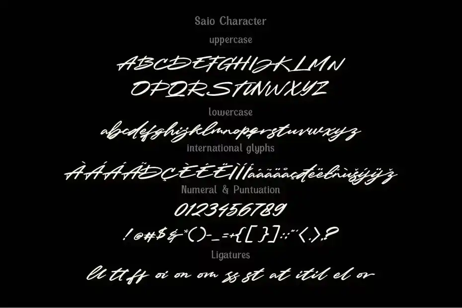 فونت انگلیسی به سبک امضا SAIO - Signature - 11
