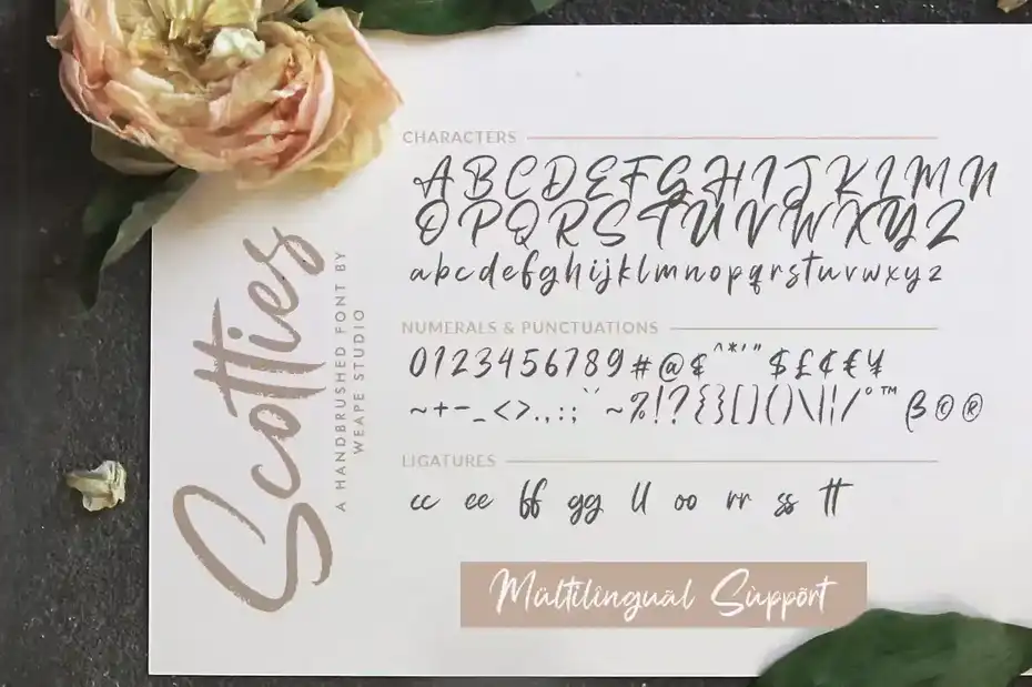 فونت انگلیسی دست نویس Scotties - Hand Brushed Font - 3