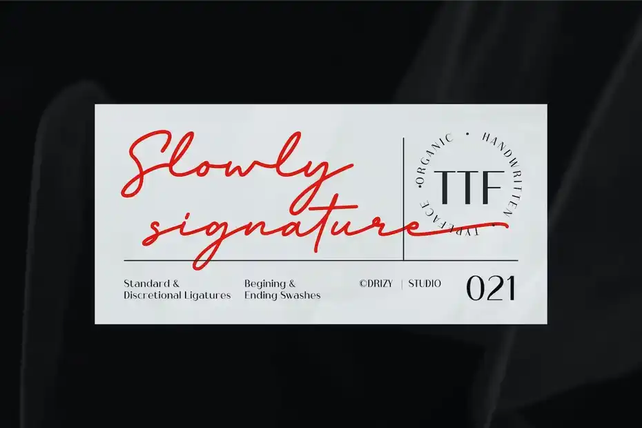 فونت انگلیسی به سبک امضا Slowly Signature - 5