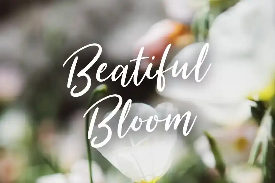 فونت انگلیسی دست نویس Summer Festival Typeface - 5