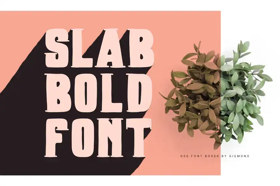 دانلود فونت بولد The Bold Font Bundle - 18