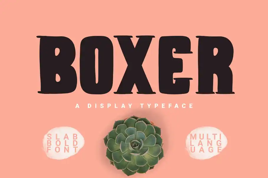 دانلود فونت بولد The Bold Font Bundle - 16
