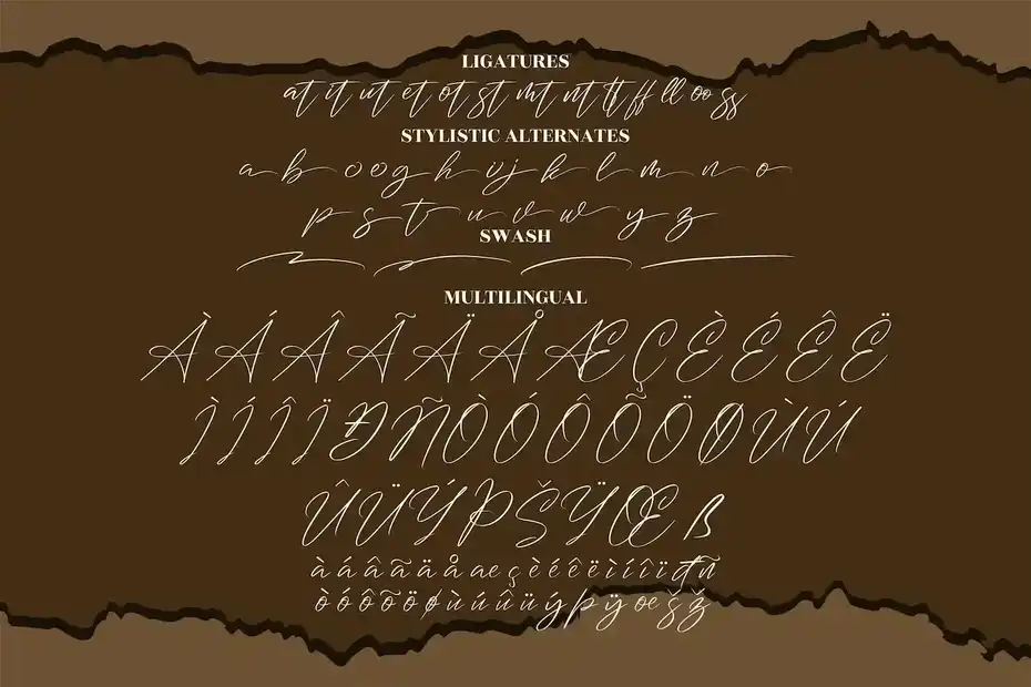 فونت انگلیسی به سبک امضا Washington Signature Signature - 5