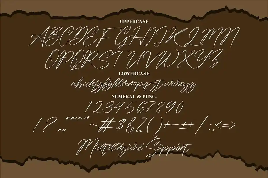 فونت انگلیسی به سبک امضا Washington Signature Signature - 9