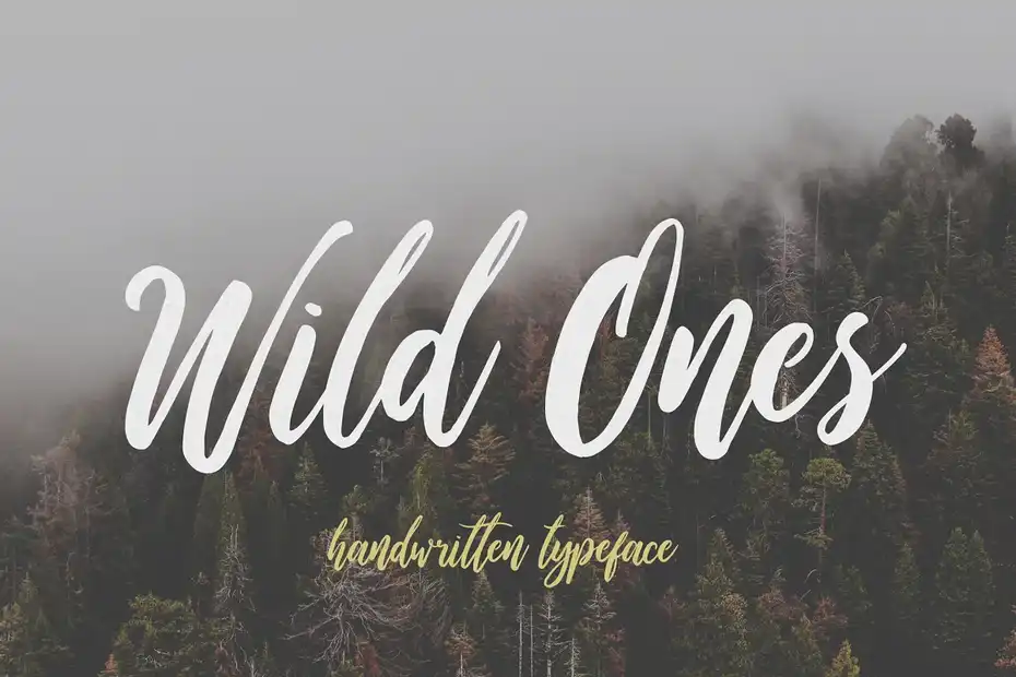 دانلود فونت انگلیسی دست نویس Wildy Wild Font Bundle - 2 فونت انگلیسی دست نویس Wildy Wild Font Bundle - 1