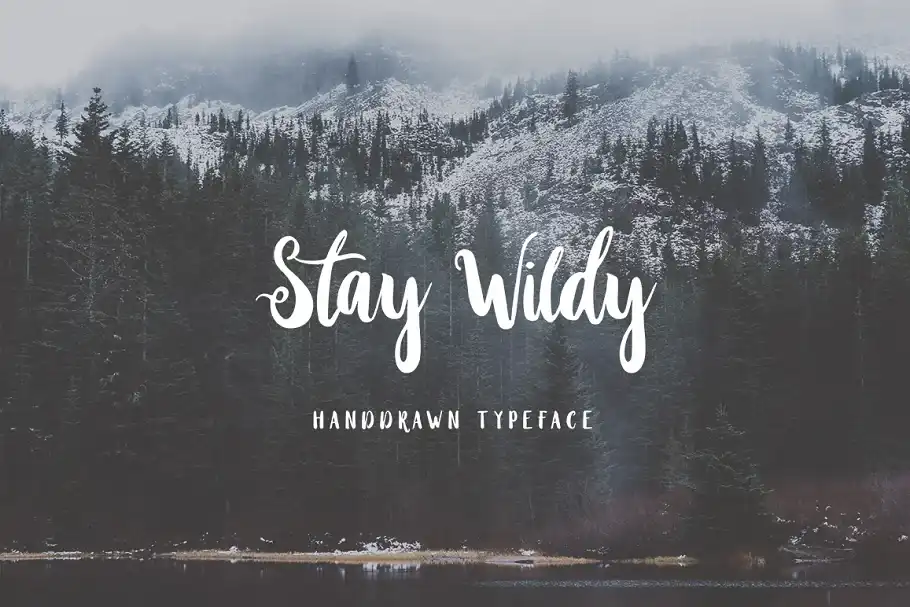 دانلود فونت انگلیسی دست نویس Wildy Wild Font Bundle - 4 فونت انگلیسی دست نویس Wildy Wild Font Bundle - 3