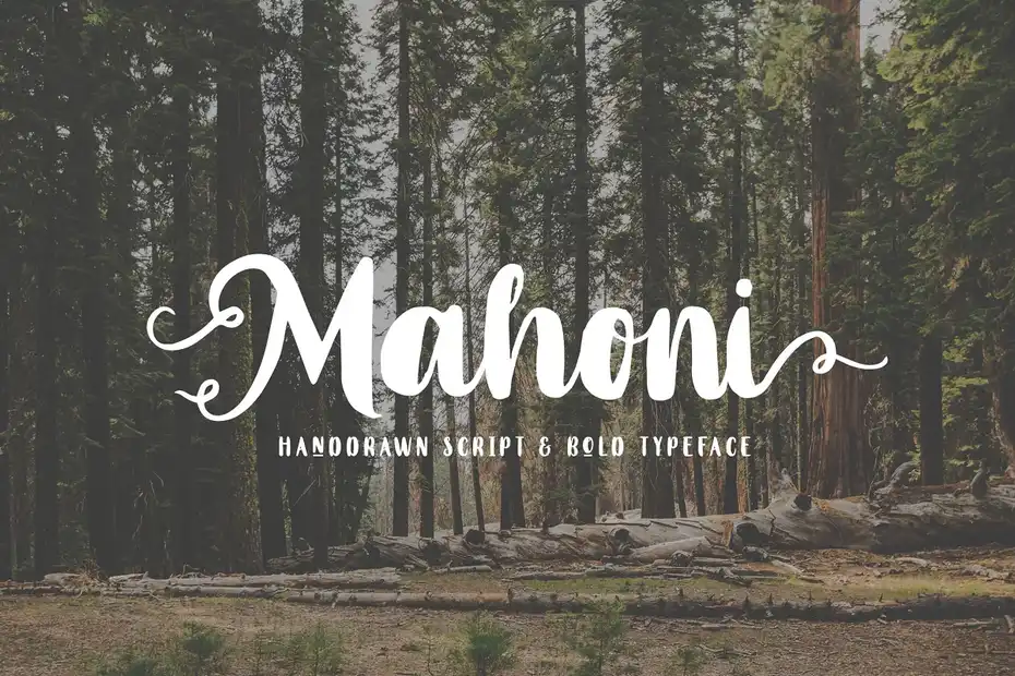دانلود فونت انگلیسی دست نویس Wildy Wild Font Bundle - 6 فونت انگلیسی دست نویس Wildy Wild Font Bundle - 5
