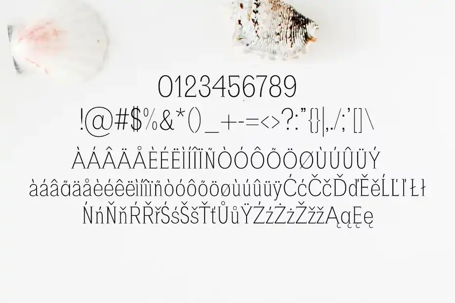 فونت انگلیسی مدرن Zayley Serif Regular Font - 7