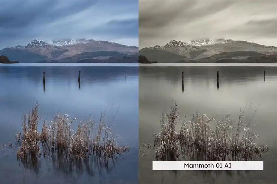دانلود 20 پریست لایتروم عظمت Grandeur Lightroom Presets and LUTs - 20 دانلود 20 پریست لایتروم عظمت - 19