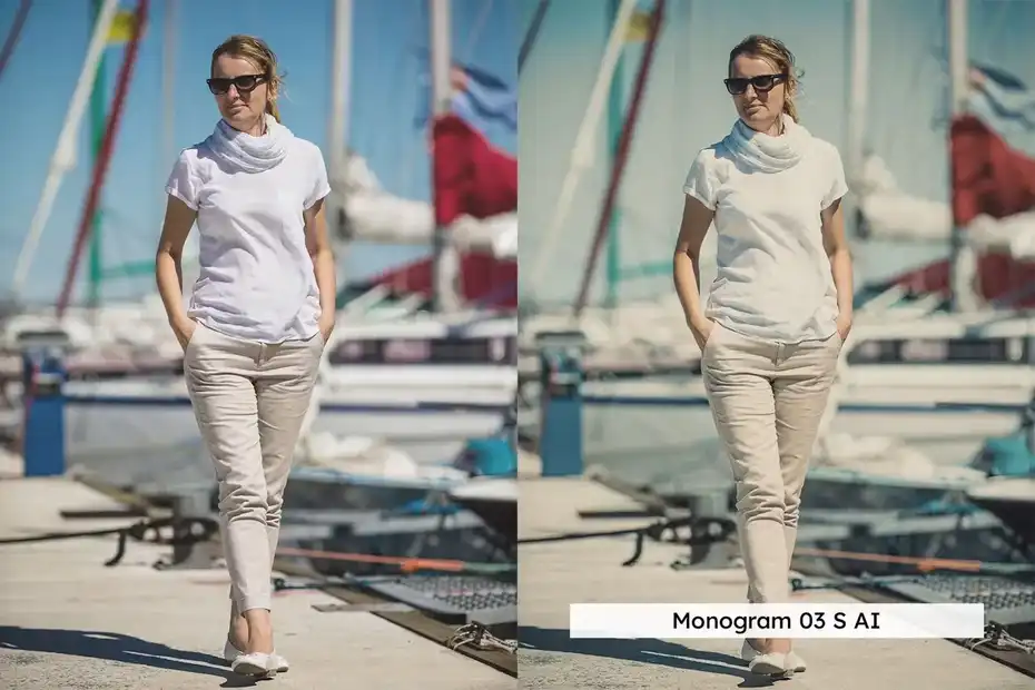 دانلود 20 پریست لایتروم Old Money Lightroom Presets and LUTs - 5