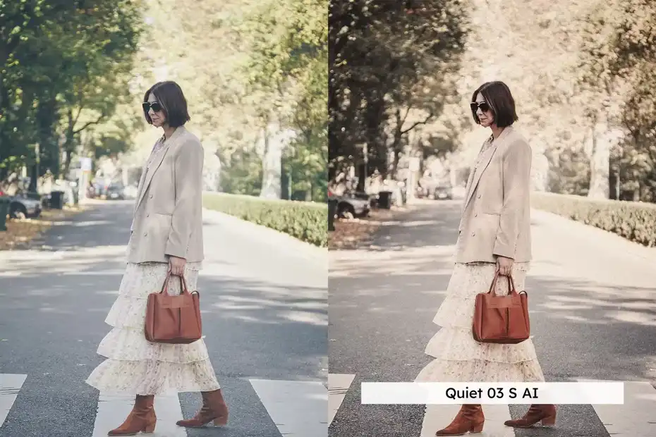 دانلود 20 پریست لایتروم Old Money Lightroom Presets and LUTs - 7