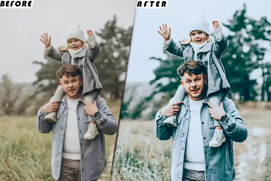 پریست لایتروم Family Fin Presets - 1