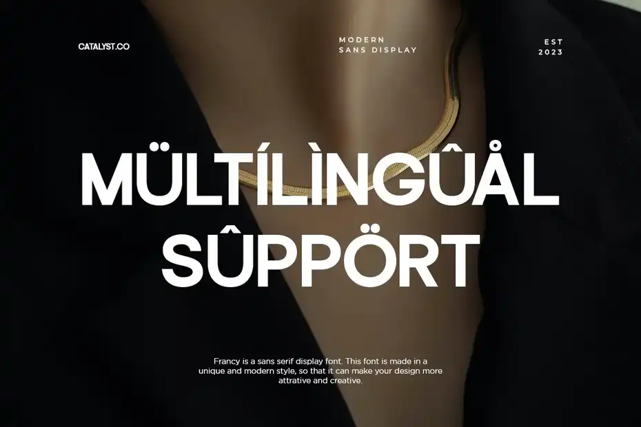 فونت انگلیسی مدرن Francy Modern Sans Display Font - 1