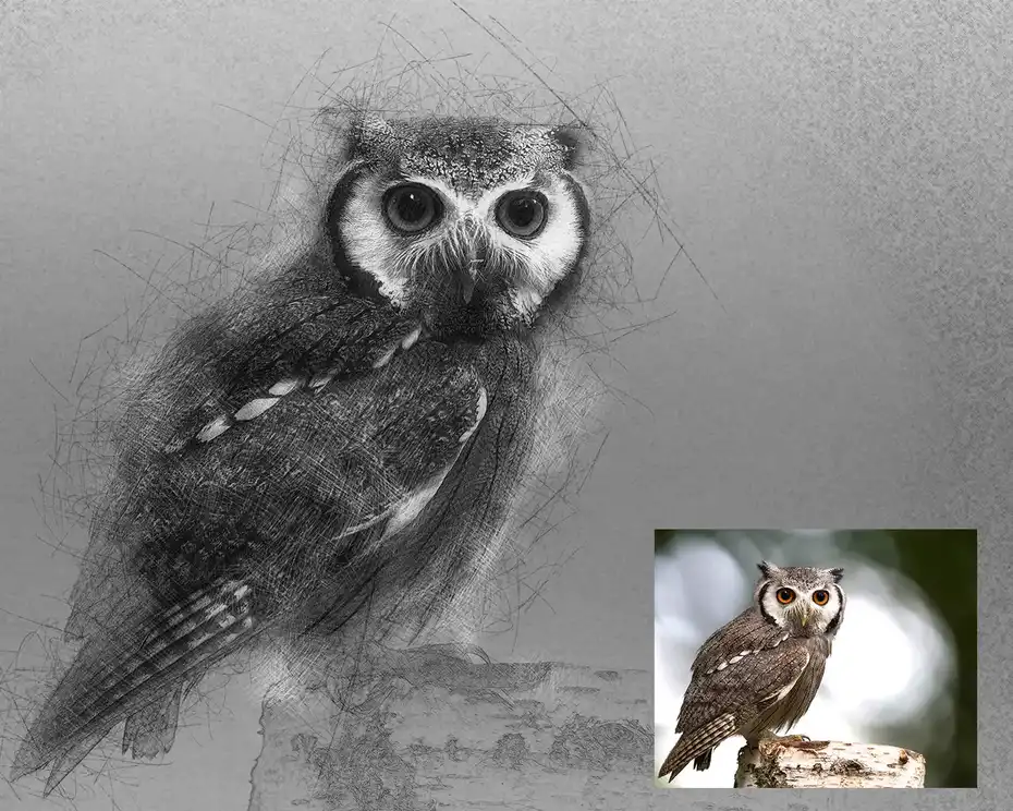 دانلود اکشن فتوشاپ تبدیل عکس به طراحی دستی Hand Drawn Photoshop Action - 2 اکشن فتوشاپ تبدیل عکس به طراحی دستی - 1
