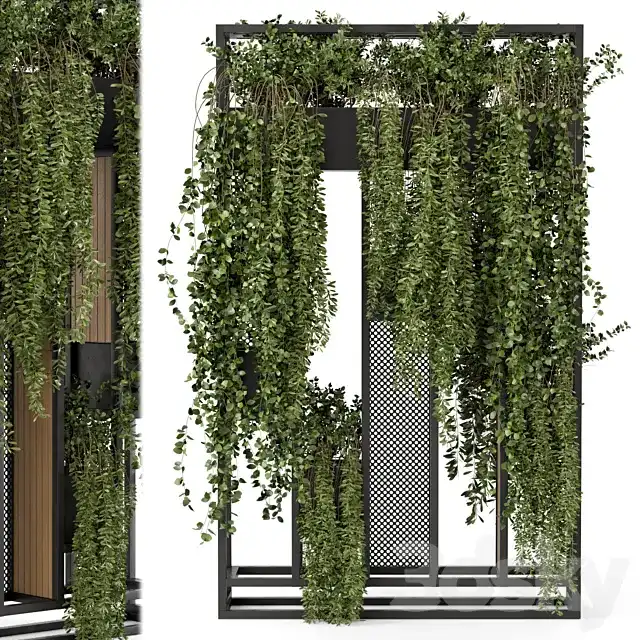 مدل سه بعدی گیاه آویز - 3
