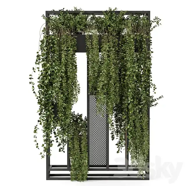 مدل سه بعدی گیاه آویز - 9