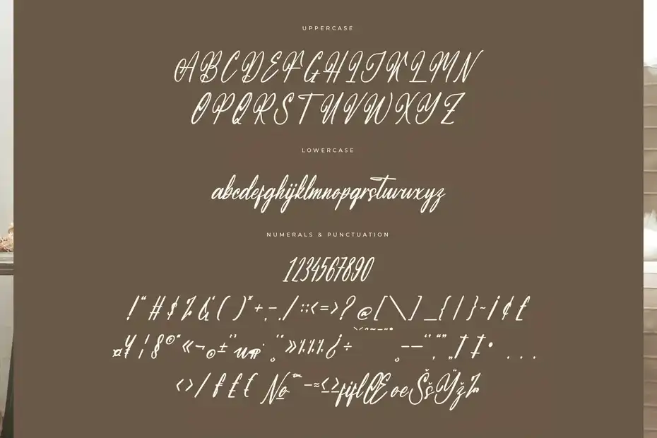 فونت انگلیسی دست نویس Molastica Modern Handbrush Script - 5
