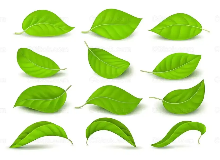 وکتور برگ سبز چای - 1