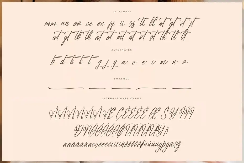 فونت انگلیسی دست نویس Rustic Astera Modern Handwritten Script - 15