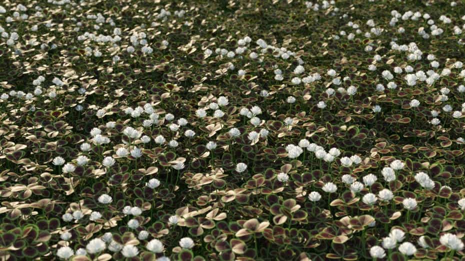 مدل سه بعدی چمنزار - 1