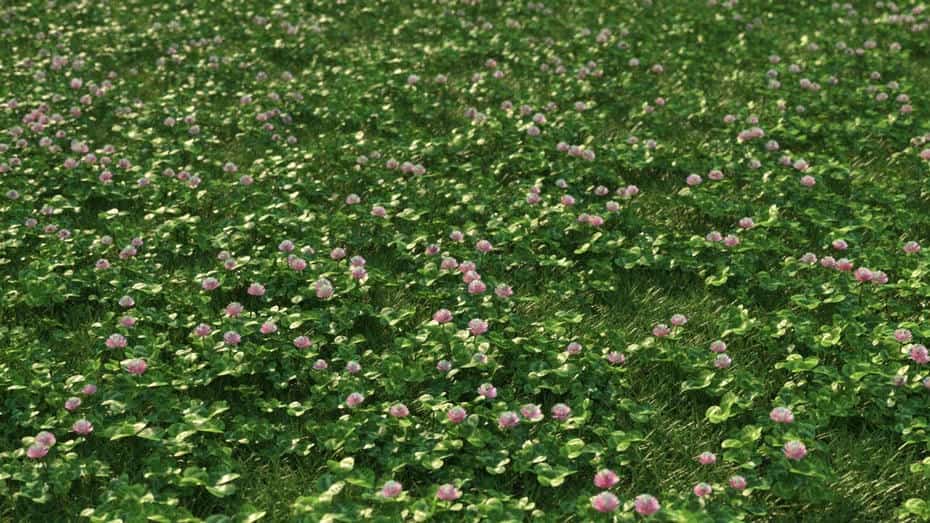 مدل سه بعدی چمنزار - 3