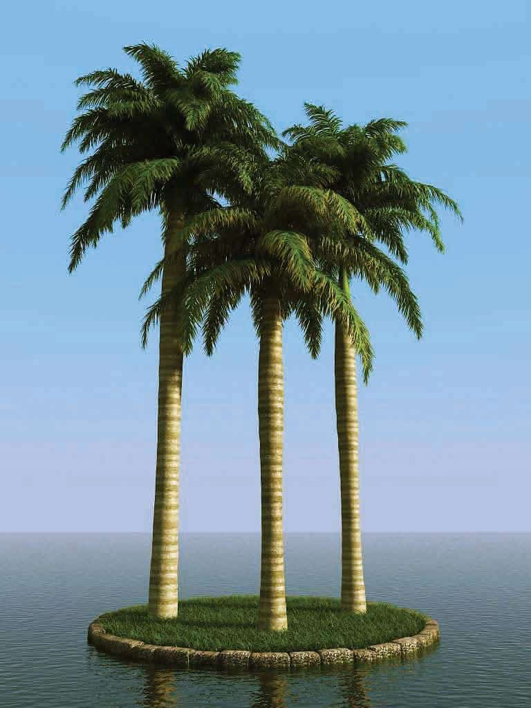 آبجکت درخت نخل - 1