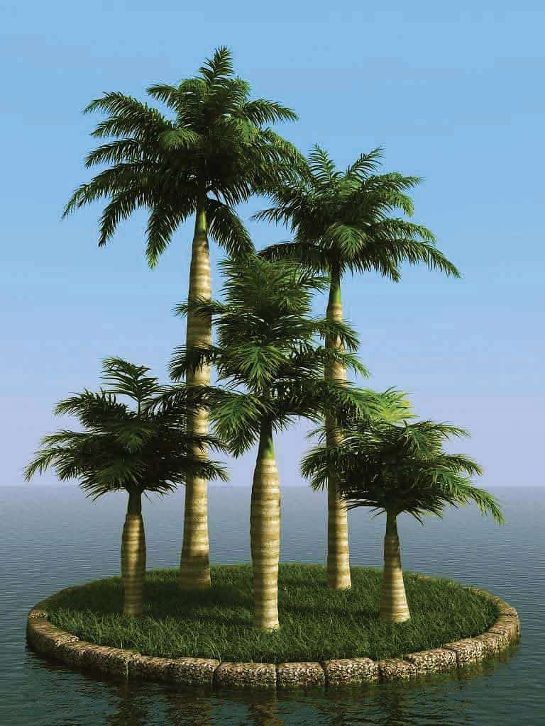 آبجکت درخت نخل - 3