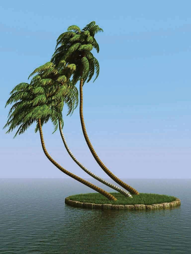 آبجکت درخت نخل - 5