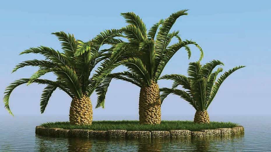 آبجکت درخت نخل - 7