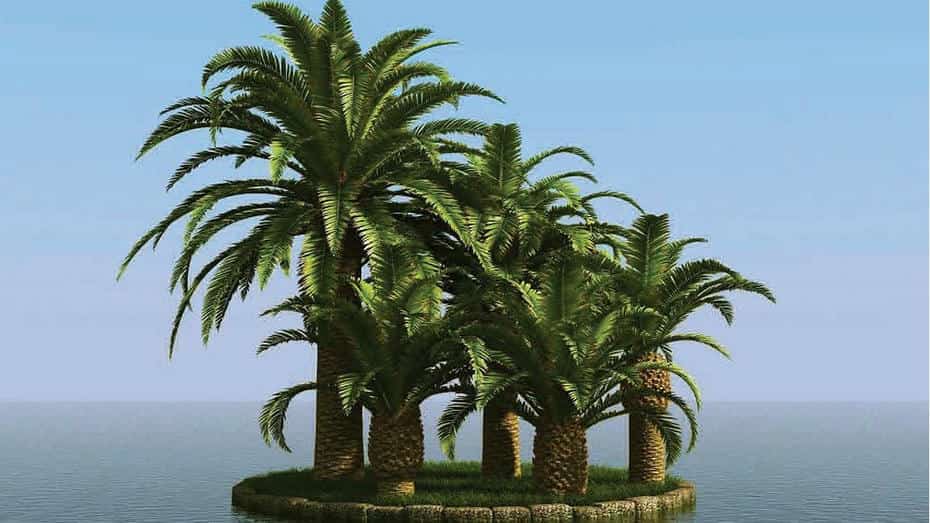 آبجکت درخت نخل - 9