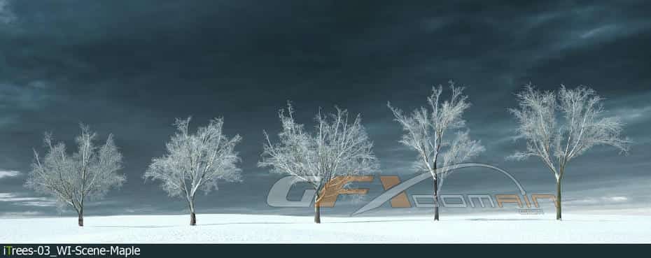 مدل سه بعدی درخت زمستانی - 7