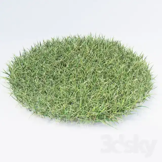 مدل سه بعدی چمن 2 - 3
