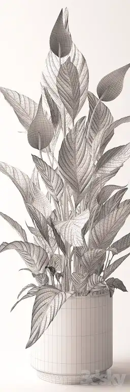 مدل سه بعدی گیاهان آپارتمانی 2 - 3