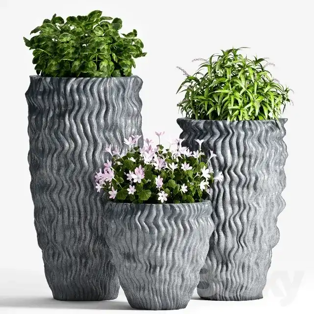 مدل سه بعدی گیاهان گلدانی 4 - 5