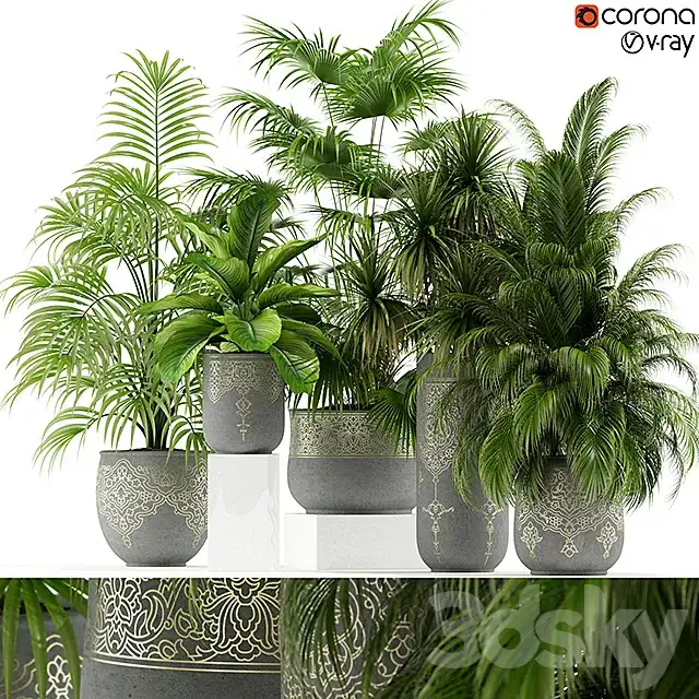 مدل سه بعدی گیاهان آپارتمانی 54 - 1