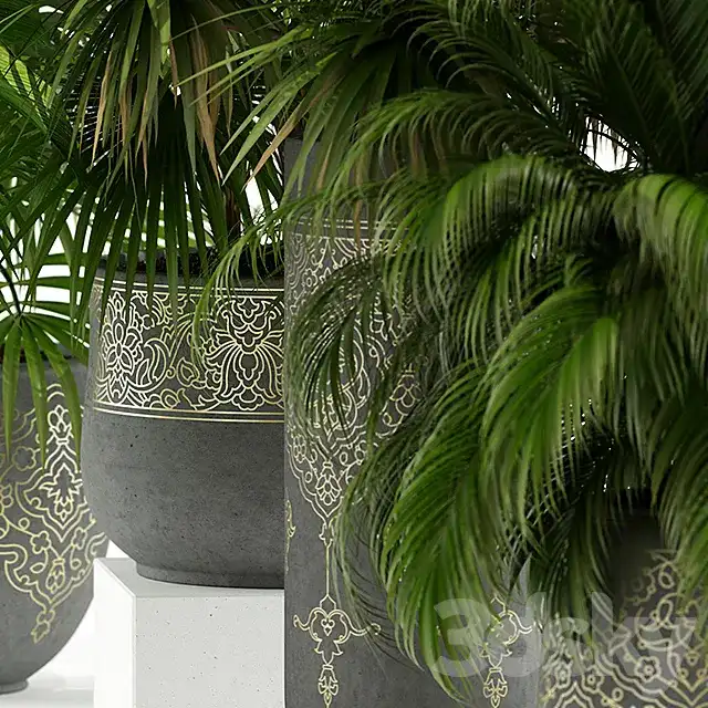 مدل سه بعدی گیاهان آپارتمانی 54 - 3