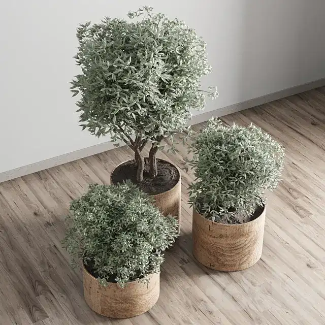 آبجکت گیاهان آپارتمانی 89 - 5