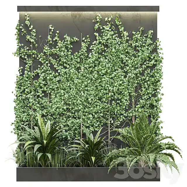 مدل سه بعدی گیاهان باغچه 10 - 3