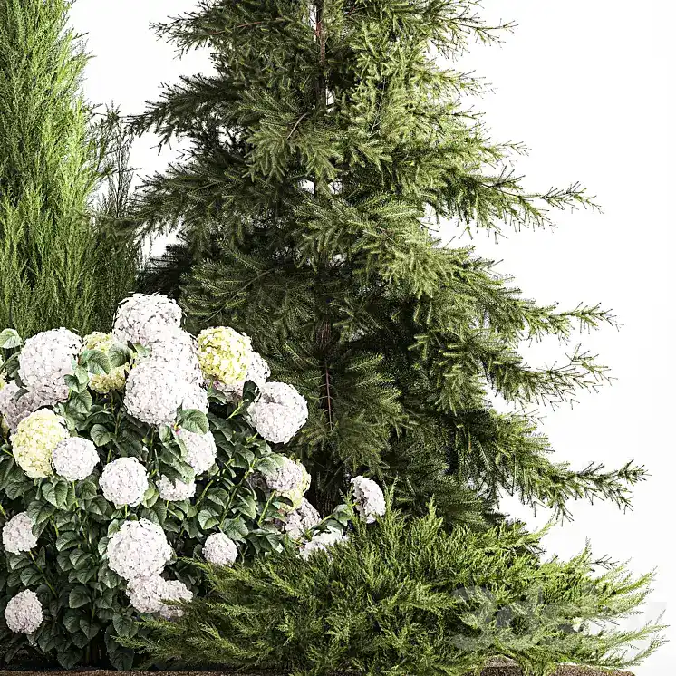 مدل سه بعدی گیاهان باغچه 12 - 5