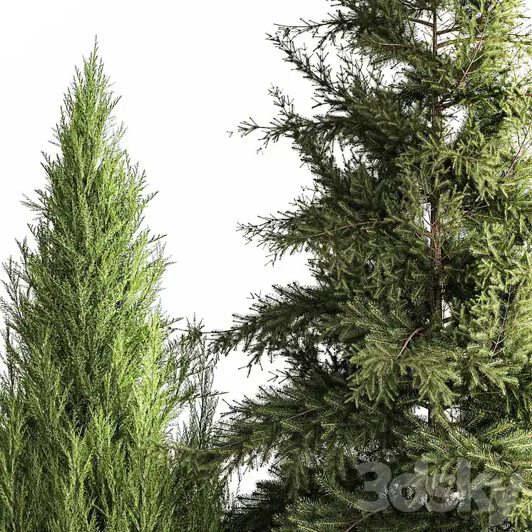 مدل سه بعدی گیاهان باغچه 12 - 7